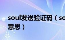 soul发送验证码（soulapp发验证码来什么意思）