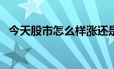 今天股市怎么样涨还是跌（今天股市怎么）