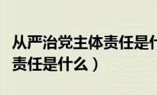 从严治党主体责任是什么意思（从严治党主体责任是什么）