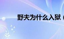 野夫为什么入狱（野夫为何入狱）