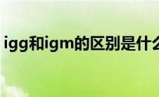 igg和igm的区别是什么（igg和igm的区别）