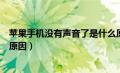 苹果手机没有声音了是什么原因（苹果手机没有声音是什么原因）