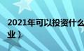 2021年可以投资什么（2021年可以投资的行业）