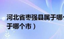 河北省枣强县属于哪个市?（河北省枣强县属于哪个市）