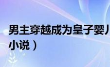 男主穿越成为皇子婴儿小说（男主穿越成皇子小说）