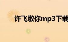 许飞敬你mp3下载网盘（许飞敬你）