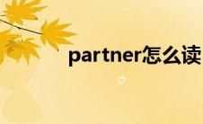 partner怎么读（pair怎么读）