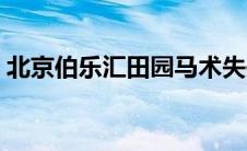 北京伯乐汇田园马术失信名单（北京伯乐汇）