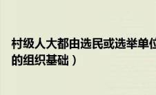 村级人大都由选民或选举单位（村委会是中国人民代表大会的组织基础）