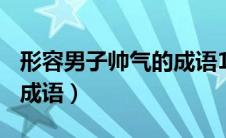 形容男子帅气的成语100个（形容男子帅气的成语）