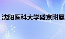 沈阳医科大学盛京附属医院（沈阳医科大学）