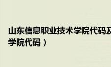 山东信息职业技术学院代码及专业代码（山东信息职业技术学院代码）