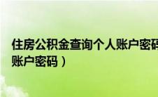 住房公积金查询个人账户密码是多少（住房公积金查询个人账户密码）