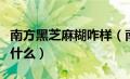 南方黑芝麻糊咋样（南方黑芝麻糊的配料表是什么）