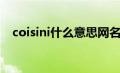 coisini什么意思网名（coisini什么意思）