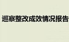 巡察整改成效情况报告（巡察整改成效报告）