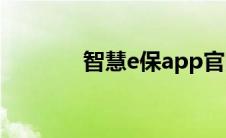 智慧e保app官网（智慧e保）