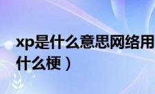 xp是什么意思网络用语二次元（xp什么意思什么梗）