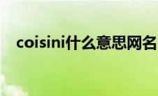 coisini什么意思网名（coisini什么意思）