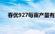 春优927每亩产量有多少斤（春优927）