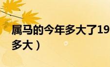 属马的今年多大了1990年虚岁（属马的今年多大）