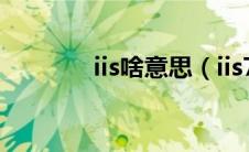 iis啥意思（iis7是什么意思）