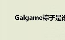 Galgame粽子是谁（galgamezo）