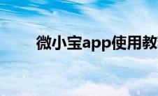 微小宝app使用教程（微小宝插件）