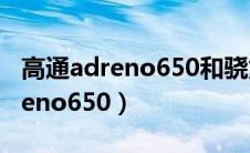 高通adreno650和骁龙865哪个好（高通adreno650）