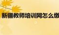 新疆教师培训网怎么缴费（新疆教师培训网）