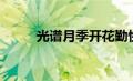 光谱月季开花勤快吗（光谱月季）