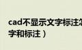 cad不显示文字标注怎么回事（cad不显示文字和标注）