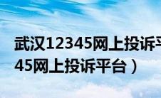 武汉12345网上投诉平台官网入口（武汉12345网上投诉平台）