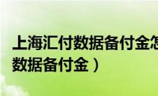 上海汇付数据备付金怎么打款给我（上海汇付数据备付金）