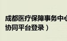 成都医疗保障事务中心（成都市医保两定管理协同平台登录）