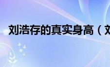 刘浩存的真实身高（刘浩存个人资料身高）