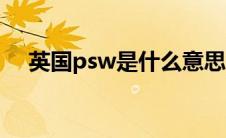 英国psw是什么意思（psw是什么意思）