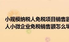 小规模纳税人免税项目销售额是否计入起征点（小规模纳税人小微企业免税销售额怎么填）