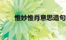 惟妙惟肖意思造句（惟妙惟肖意思）