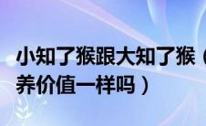 小知了猴跟大知了猴（小知了猴与大知了猴营养价值一样吗）