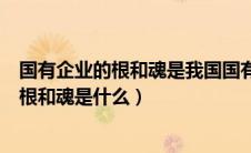 国有企业的根和魂是我国国有企业的什么优势（国有企业的根和魂是什么）