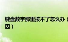 键盘数字那里按不了怎么办（键盘的数字键摁不出来什么原因）