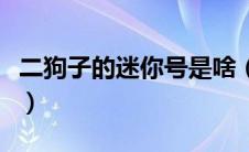 二狗子的迷你号是啥（二狗子的迷你号是多少）