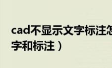 cad不显示文字标注怎么回事（cad不显示文字和标注）