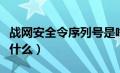 战网安全令序列号是啥（战网安全令序列号是什么）