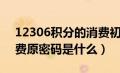 12306积分的消费初始密码（12306积分消费原密码是什么）