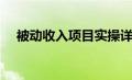 被动收入项目实操详解（被动收入项目）