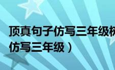 顶真句子仿写三年级树木树林森林（顶真句子仿写三年级）