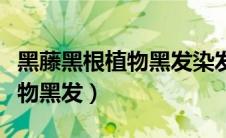 黑藤黑根植物黑发染发剂怎么样（黑藤黑根植物黑发）