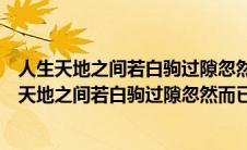 人生天地之间若白驹过隙忽然而已这句话是什么意思（人生天地之间若白驹过隙忽然而已的意思）